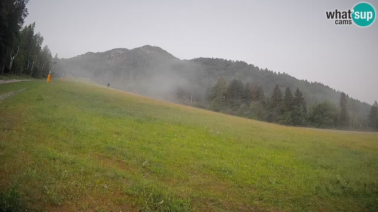 Esquí Kranjska Gora | Brsnina