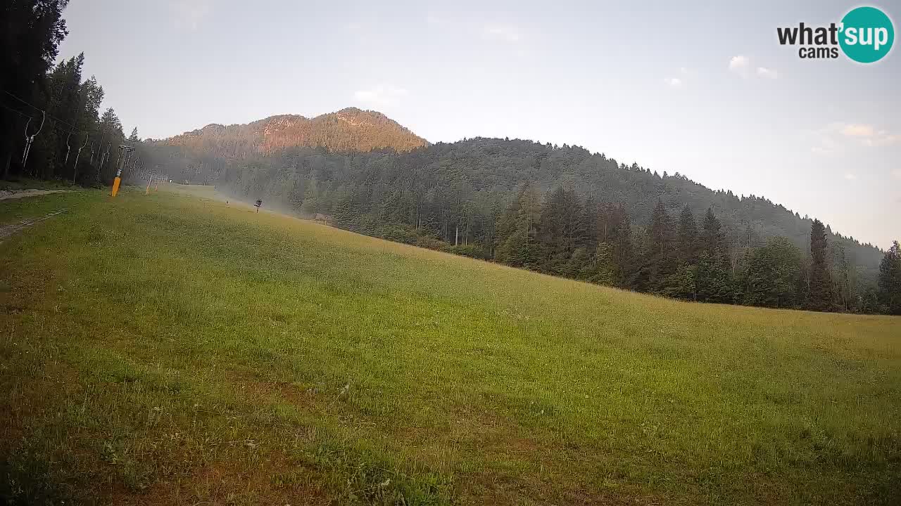 Comprensorio sciistico Kranjska Gora | Brsnina