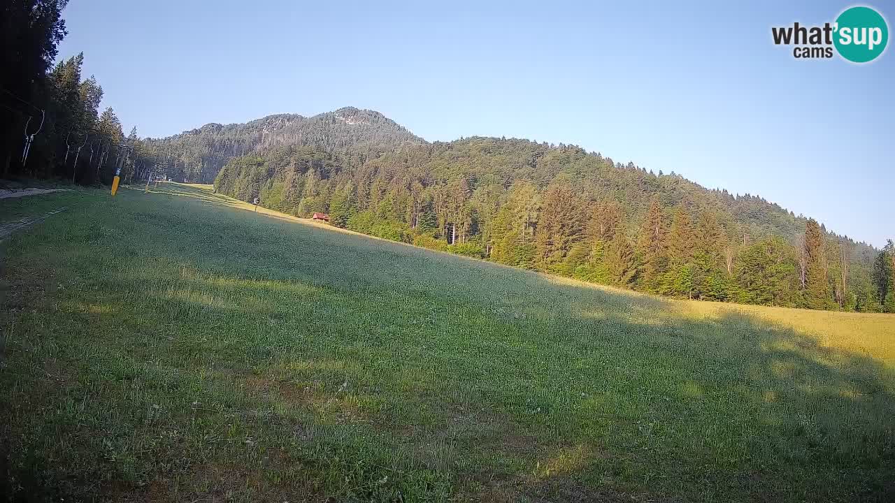 Esquí Kranjska Gora | Brsnina