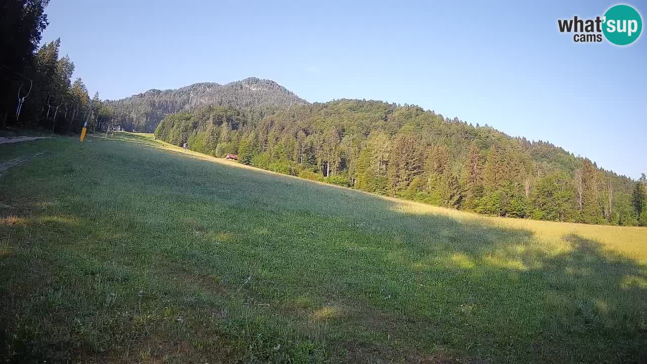 Esquí Kranjska Gora | Brsnina