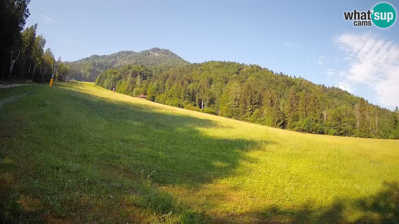 Kranjska Gora SKIJANJE | Brsnina