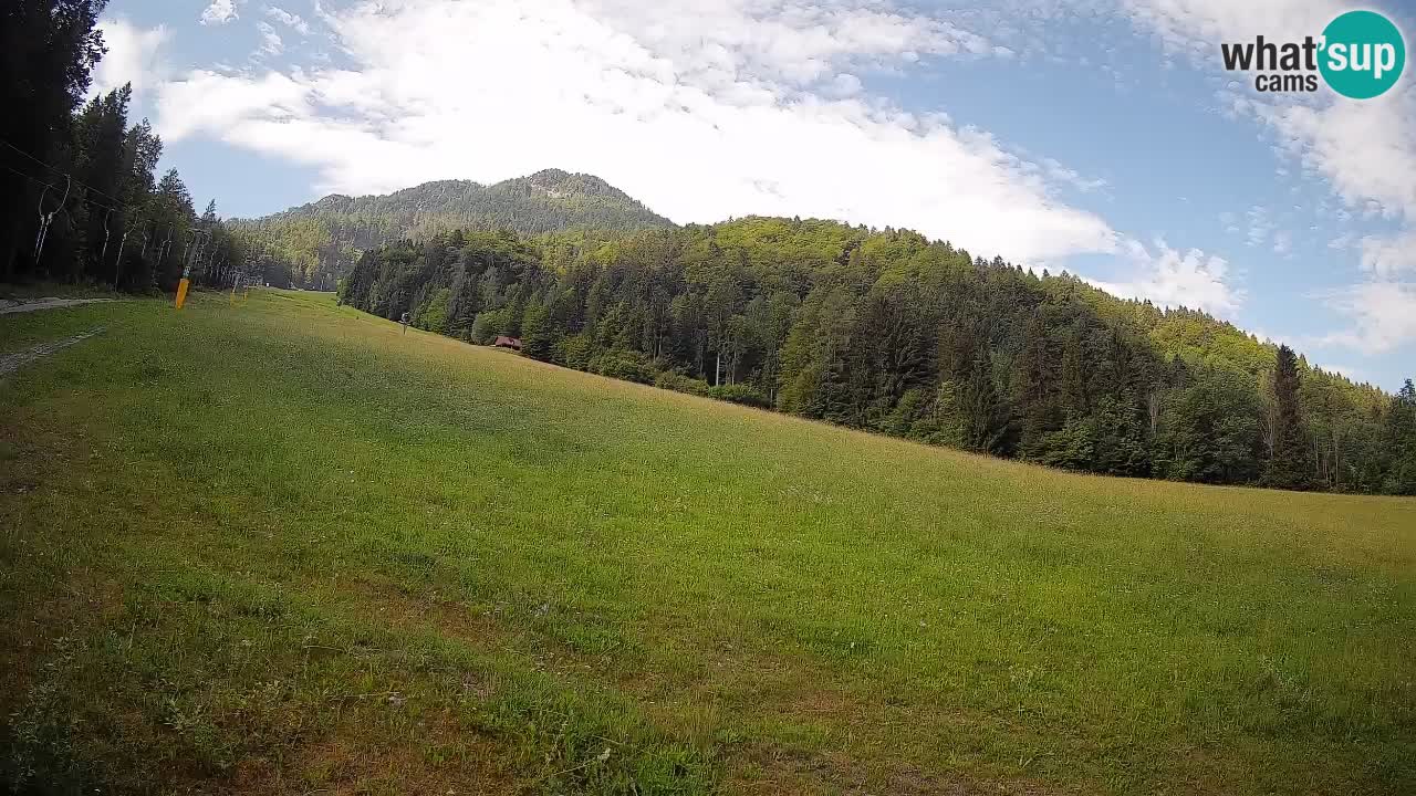 Comprensorio sciistico Kranjska Gora | Brsnina