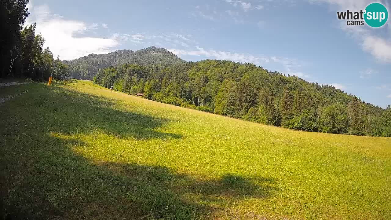RTC Skigebiet Kranjska Gora | Brsnina