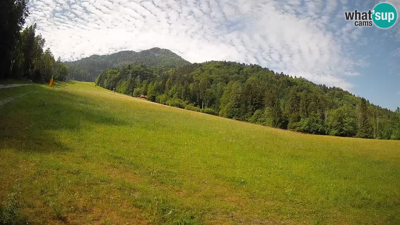 RTC Skigebiet Kranjska Gora | Brsnina