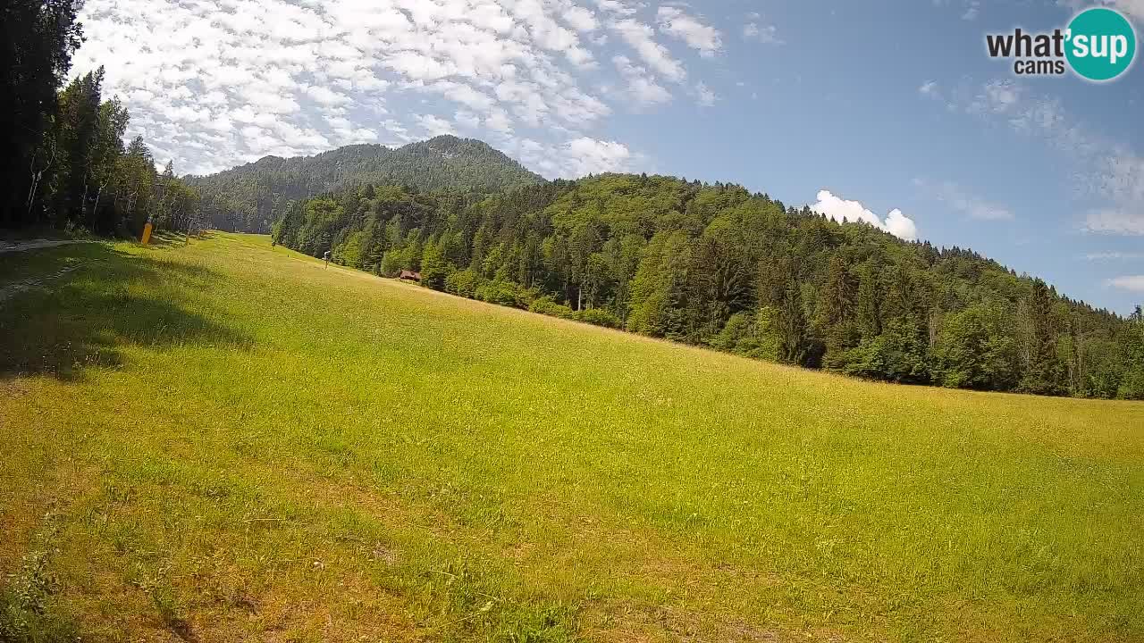Kranjska Gora Station de ski | Brsnina