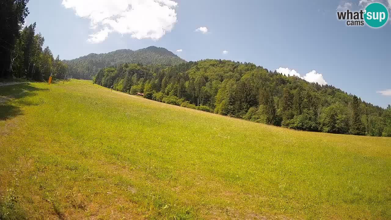 Ski Kranjska Gora | Brsnina