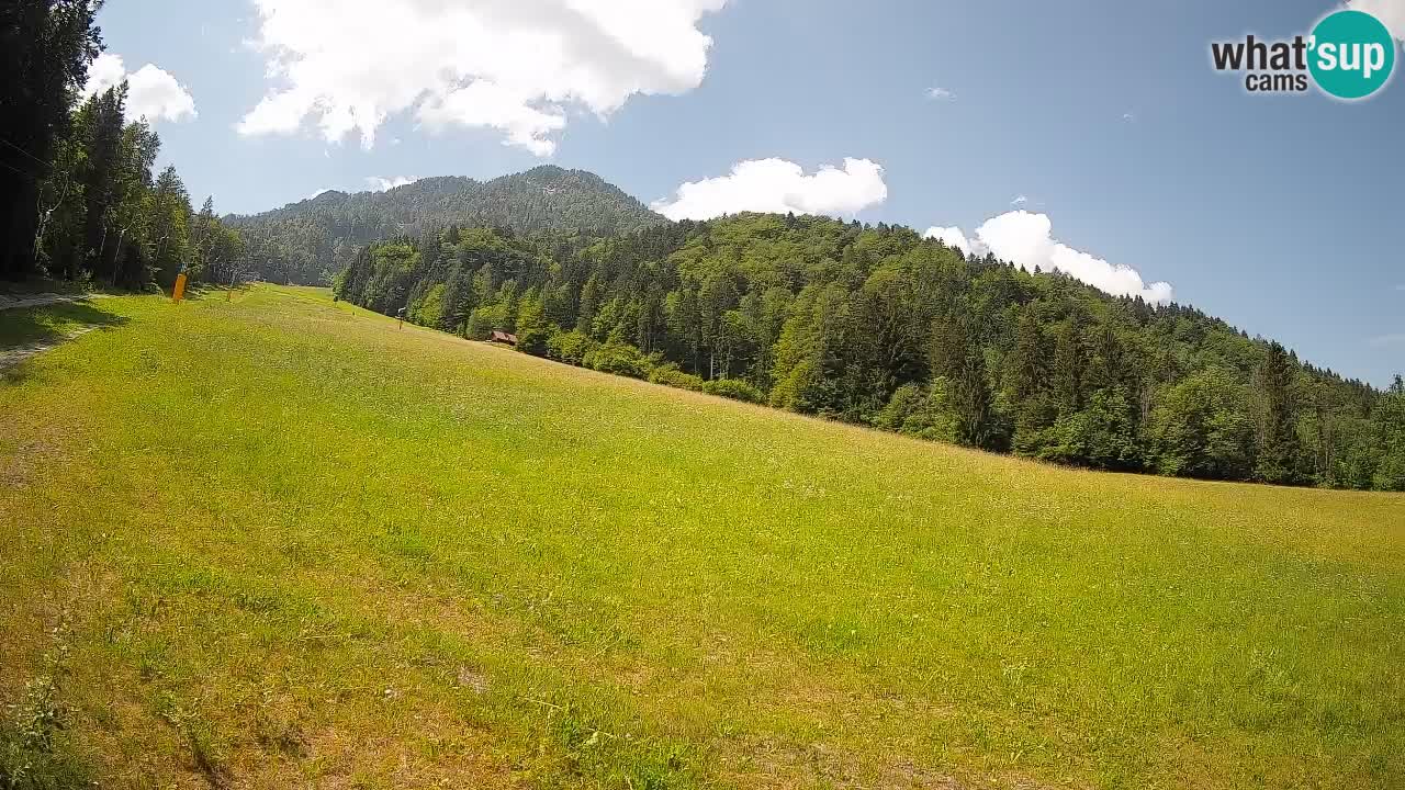 Ski Kranjska Gora | Brsnina