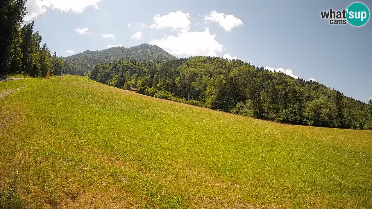 Ski Kranjska Gora | Brsnina