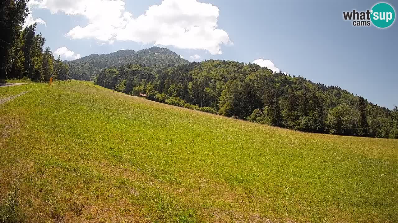 Esquí Kranjska Gora | Brsnina