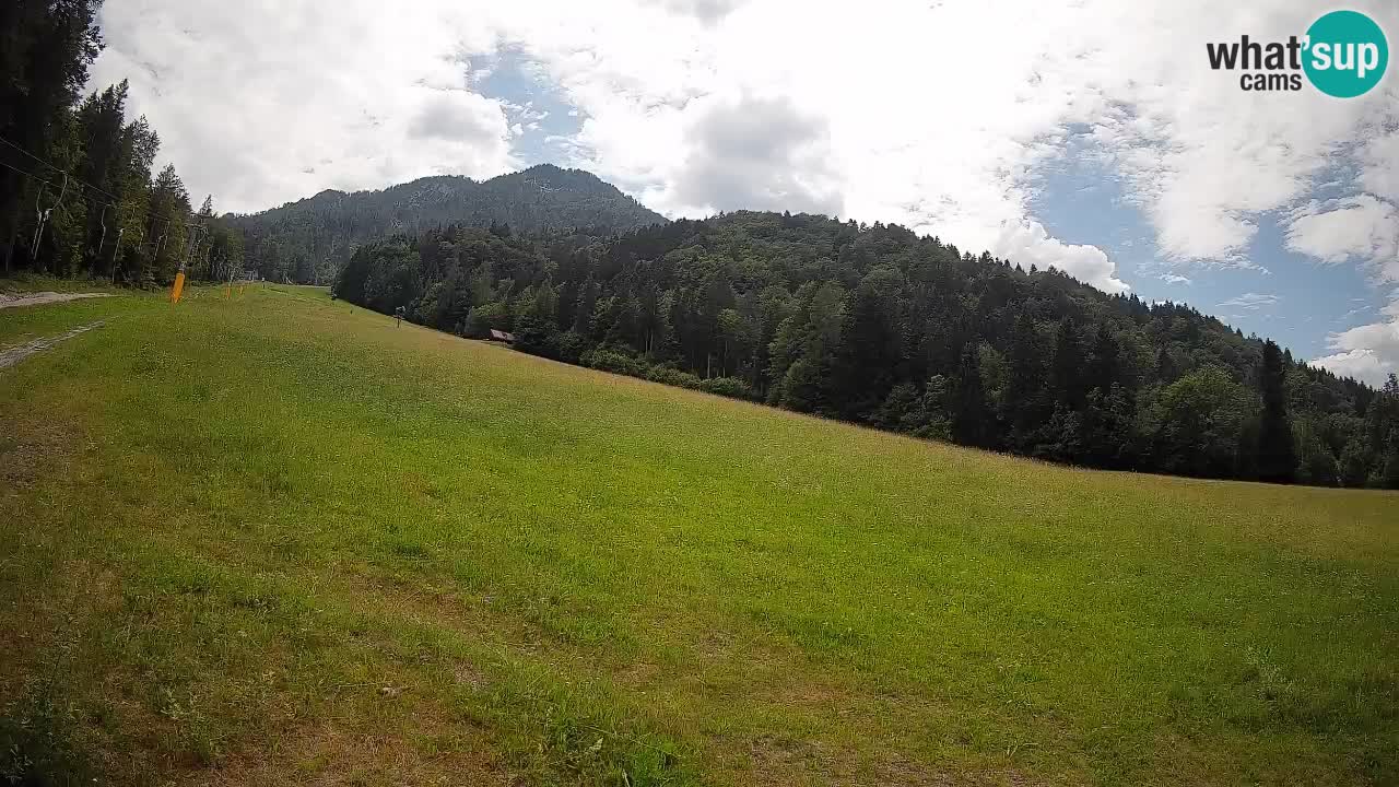 Esquí Kranjska Gora | Brsnina