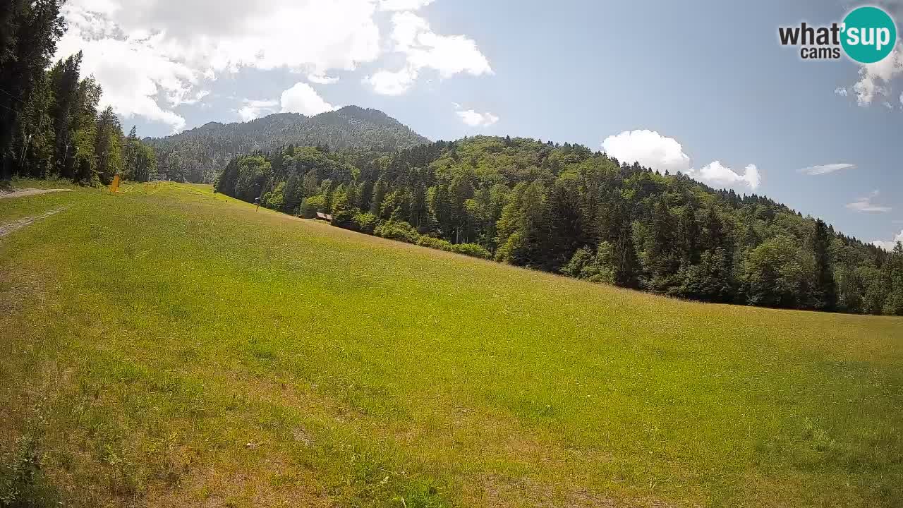 RTC Skigebiet Kranjska Gora | Brsnina