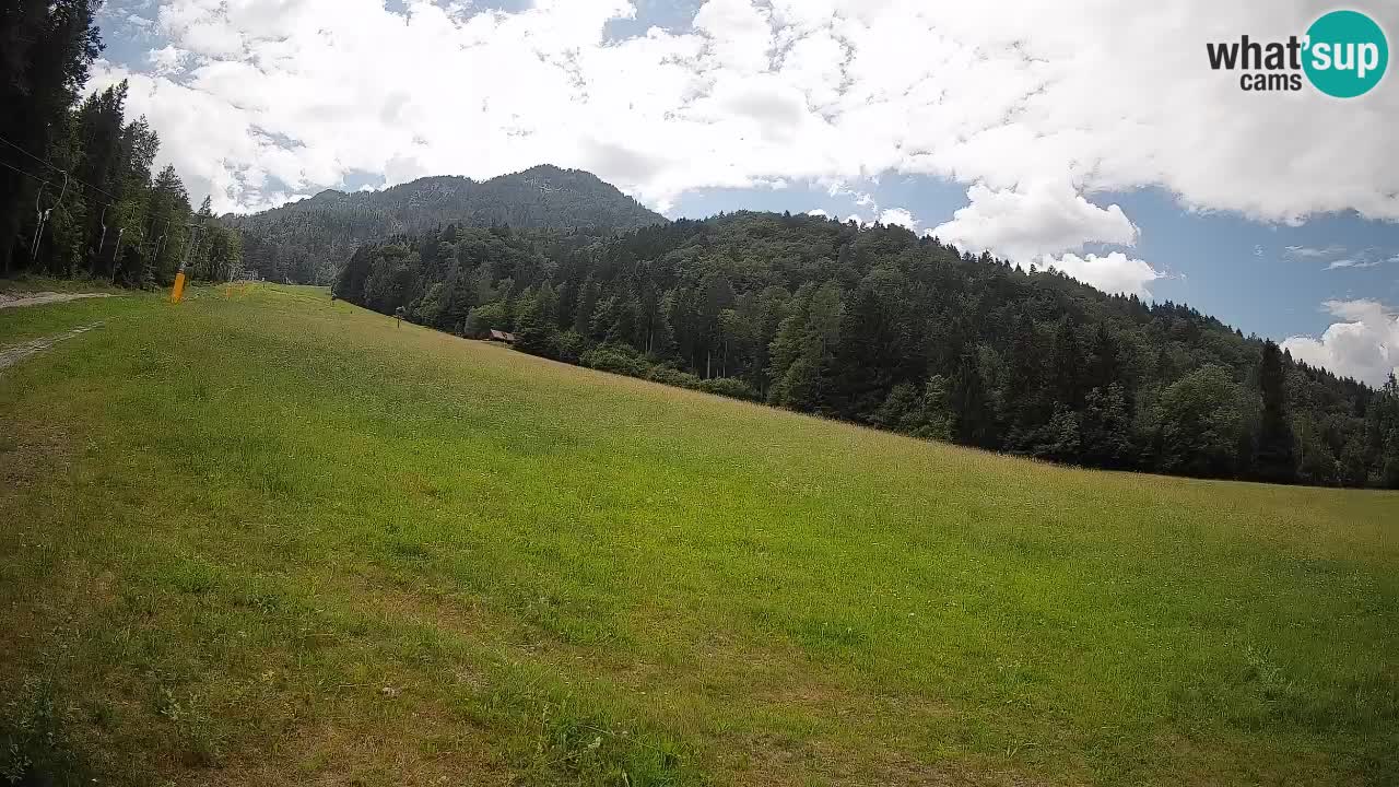 Ski Kranjska Gora | Brsnina