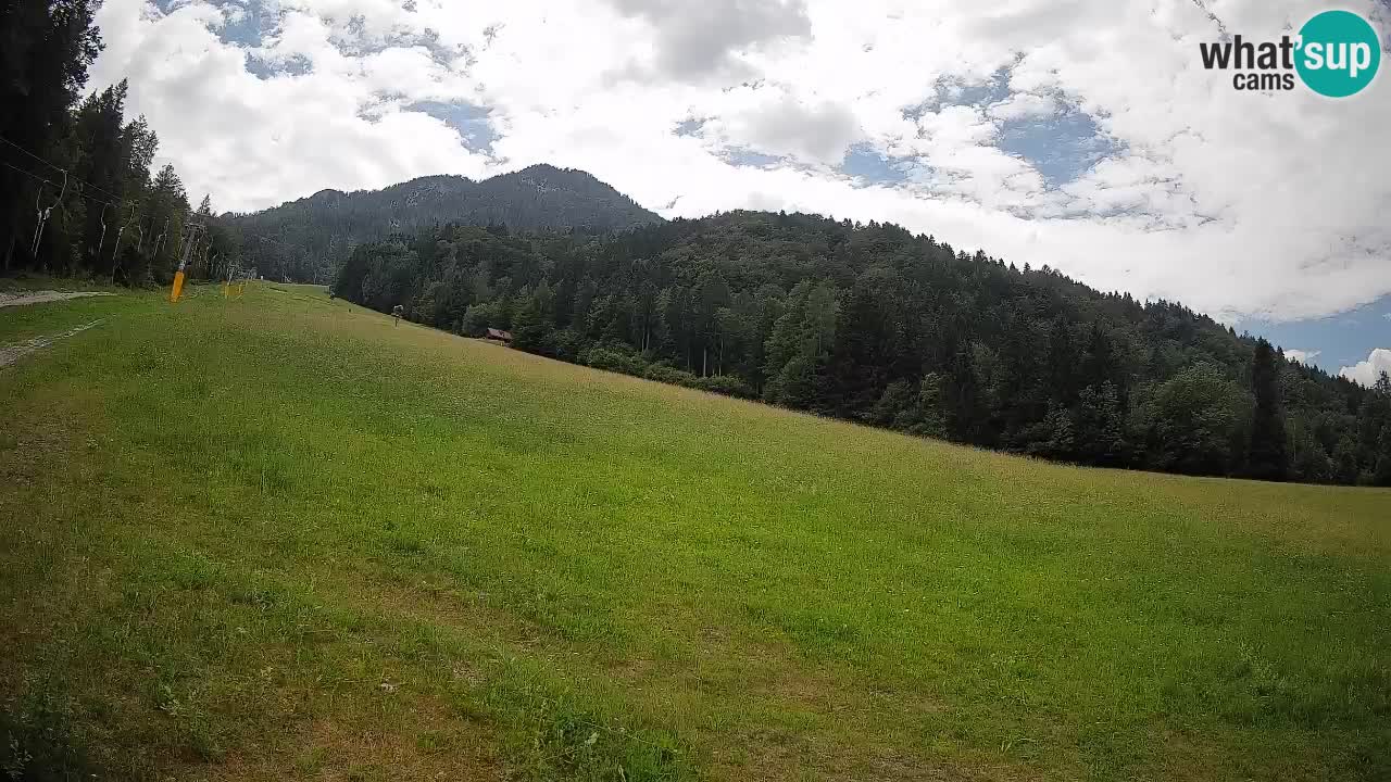 RTC Skigebiet Kranjska Gora | Brsnina