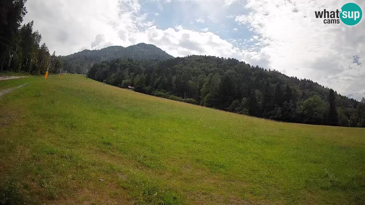RTC Kranjska Gora | Brsnina