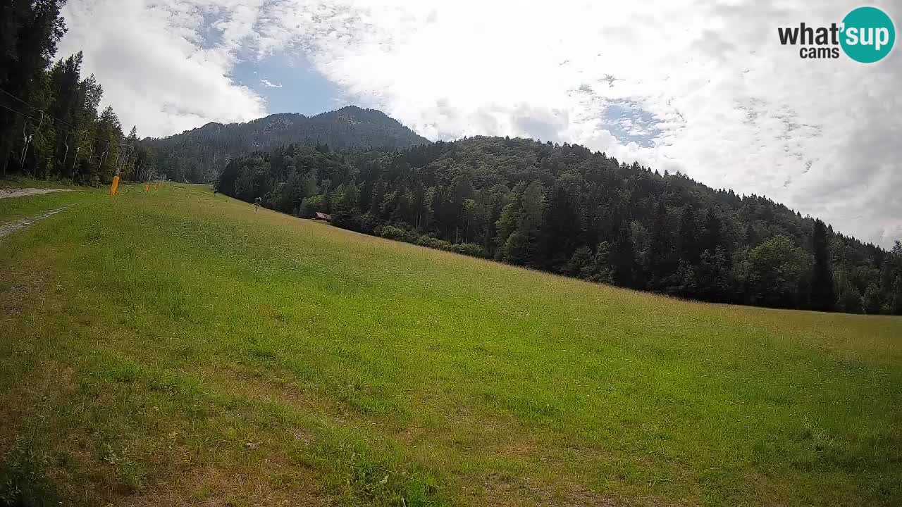 Ski Kranjska Gora | Brsnina