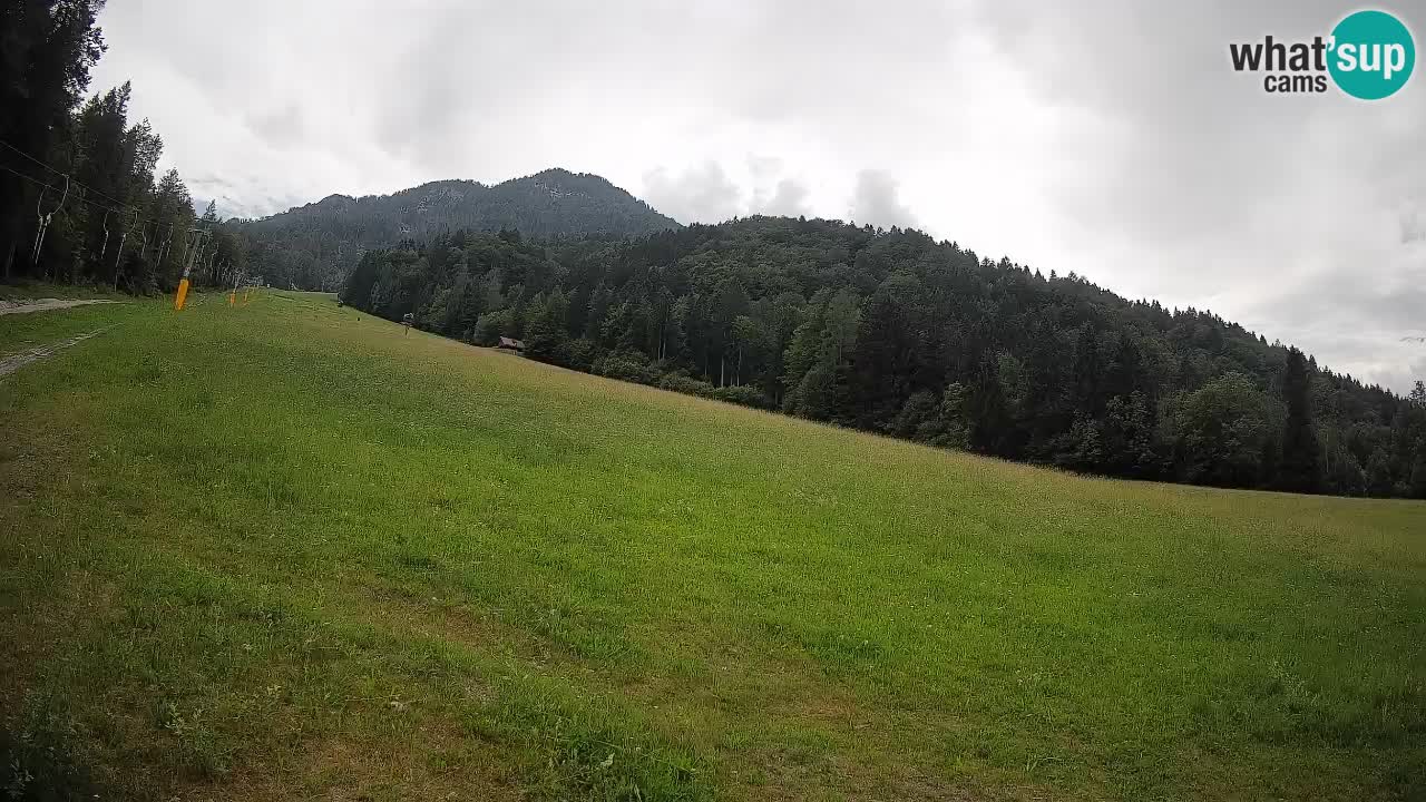 Ski Kranjska Gora | Brsnina