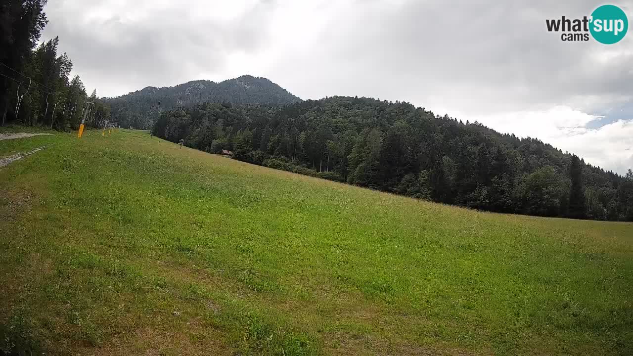RTC Skigebiet Kranjska Gora | Brsnina