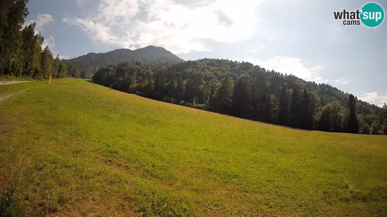 Comprensorio sciistico Kranjska Gora | Brsnina