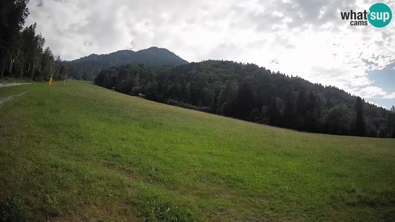 Comprensorio sciistico Kranjska Gora | Brsnina