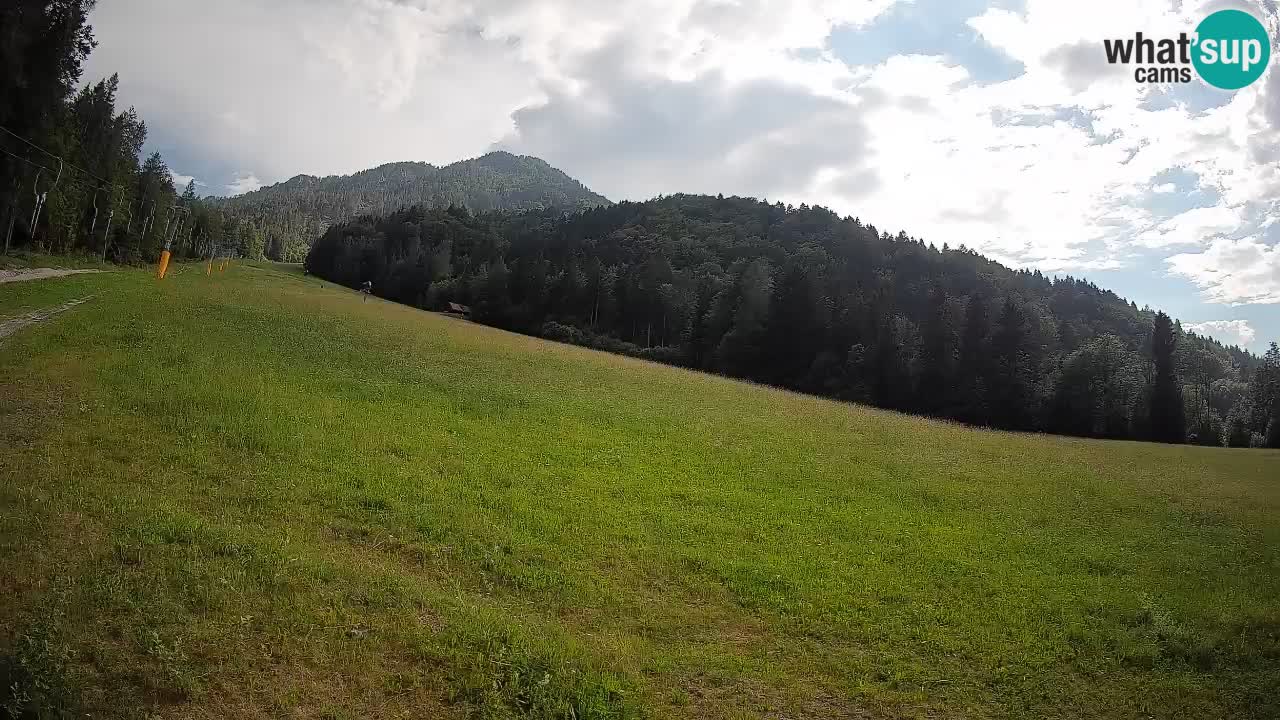 Ski Kranjska Gora | Brsnina