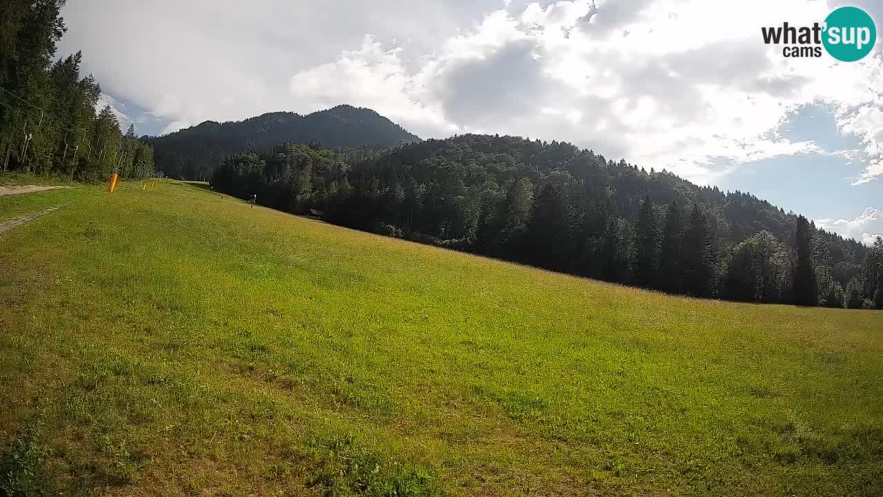 Kranjska Gora SKIJANJE | Brsnina