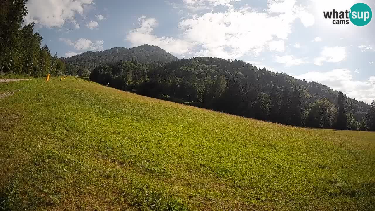 Kranjska Gora Station de ski | Brsnina