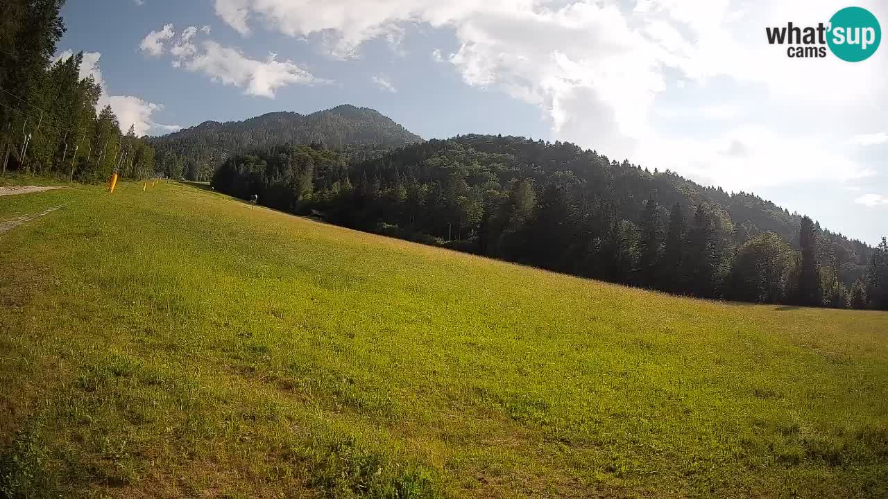 Esquí Kranjska Gora | Brsnina