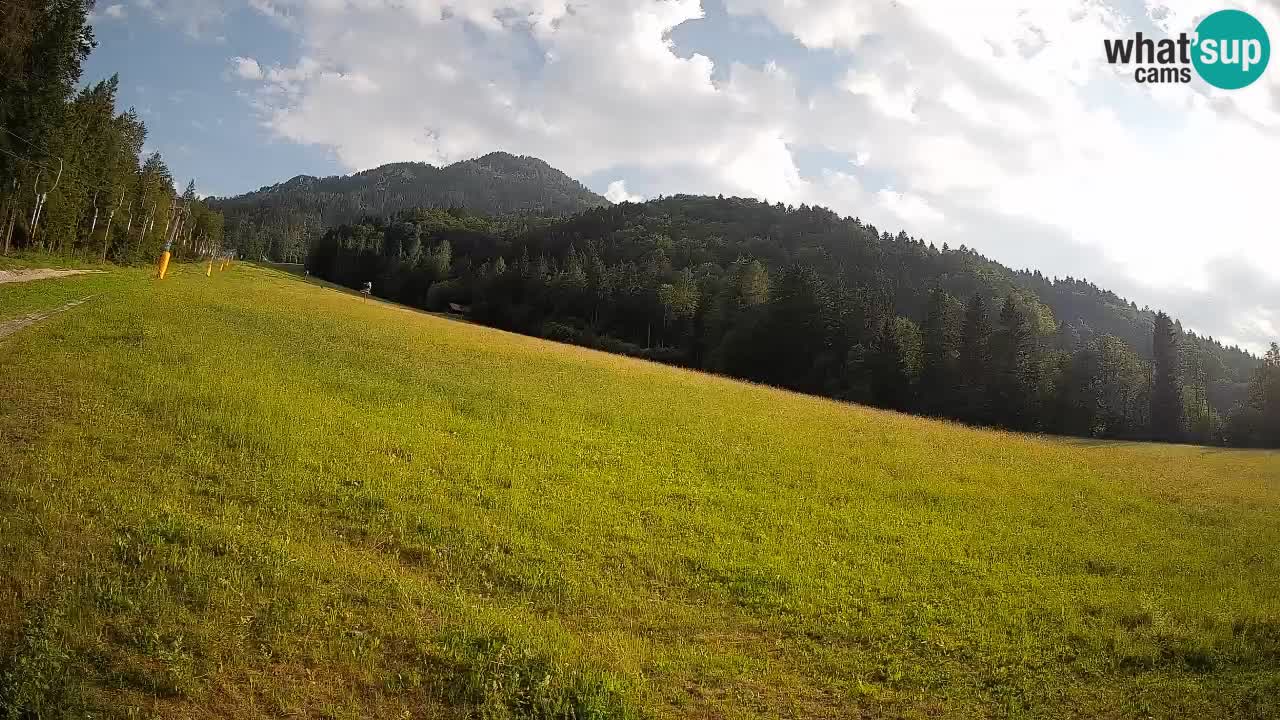 Kranjska Gora Station de ski | Brsnina
