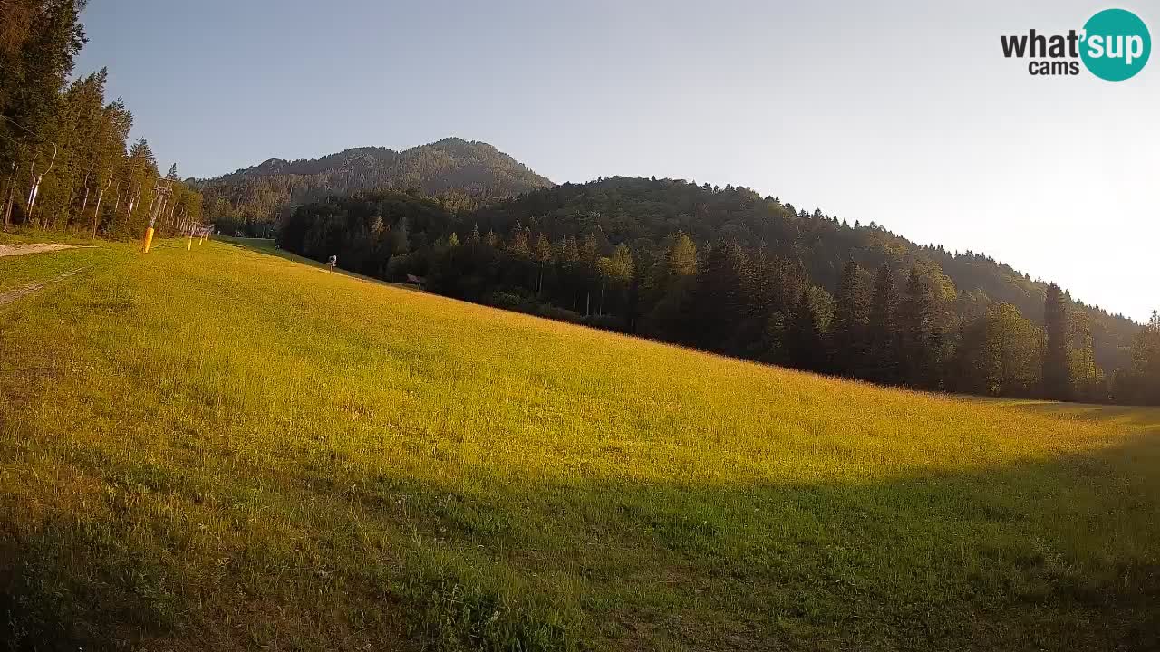 RTC Skigebiet Kranjska Gora | Brsnina