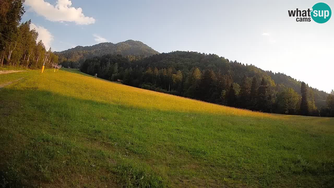 Kranjska Gora Station de ski | Brsnina