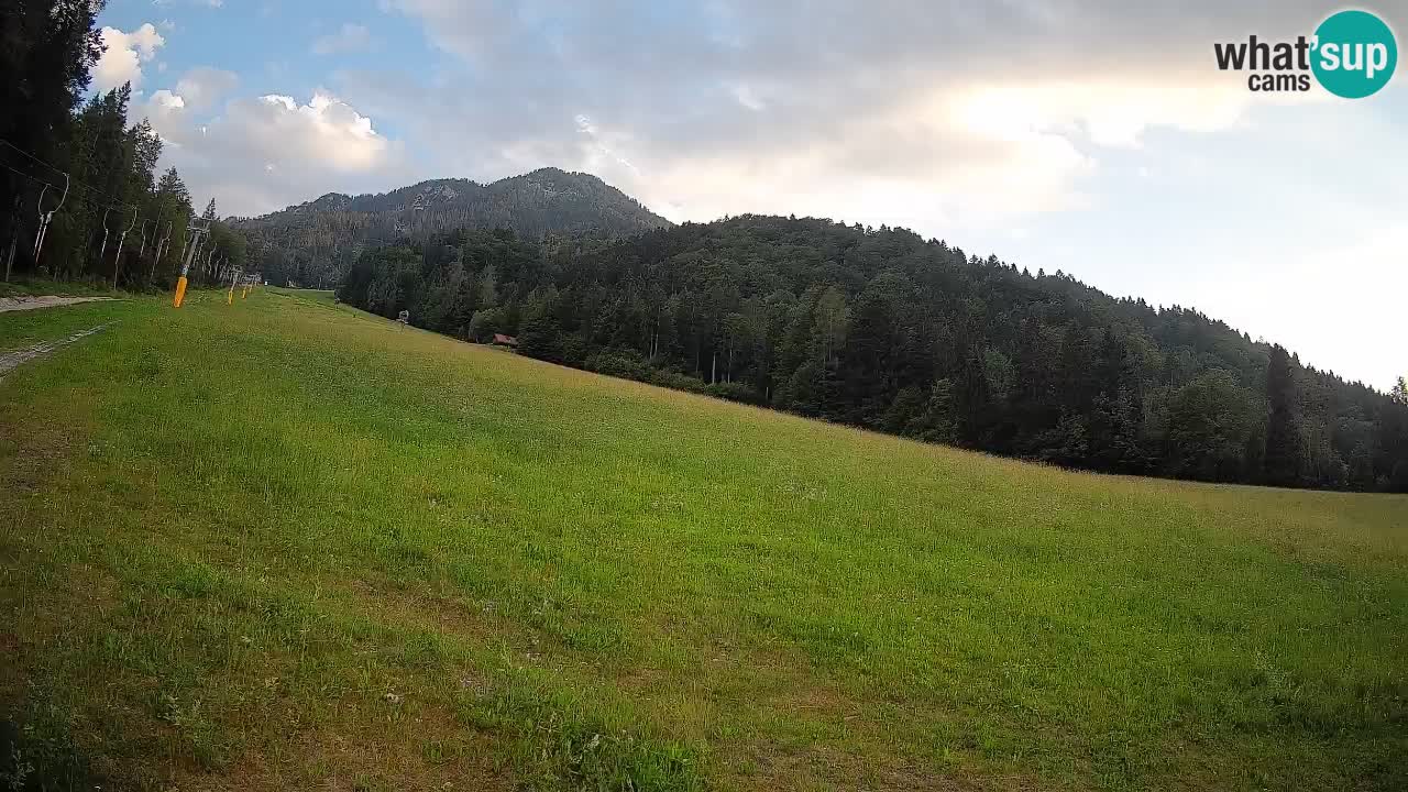 Ski Kranjska Gora | Brsnina