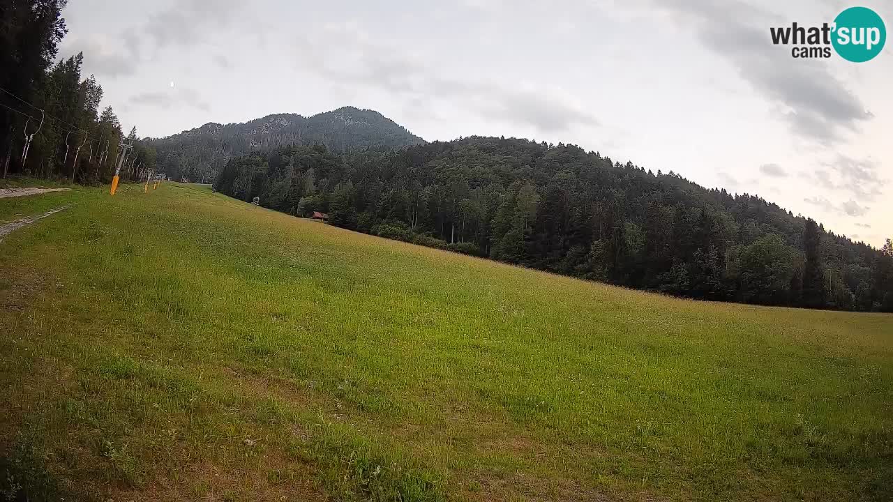 RTC Skigebiet Kranjska Gora | Brsnina