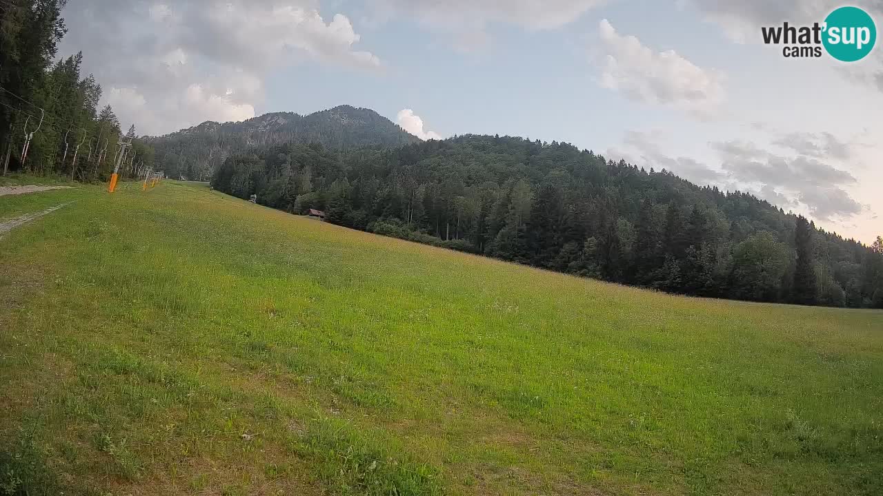 RTC Kranjska Gora | Brsnina