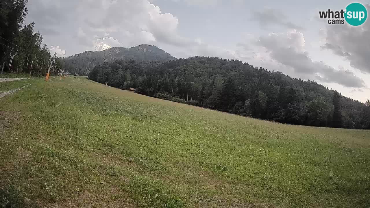 RTC Skigebiet Kranjska Gora | Brsnina