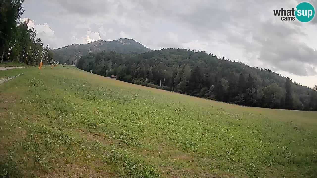 Comprensorio sciistico Kranjska Gora | Brsnina