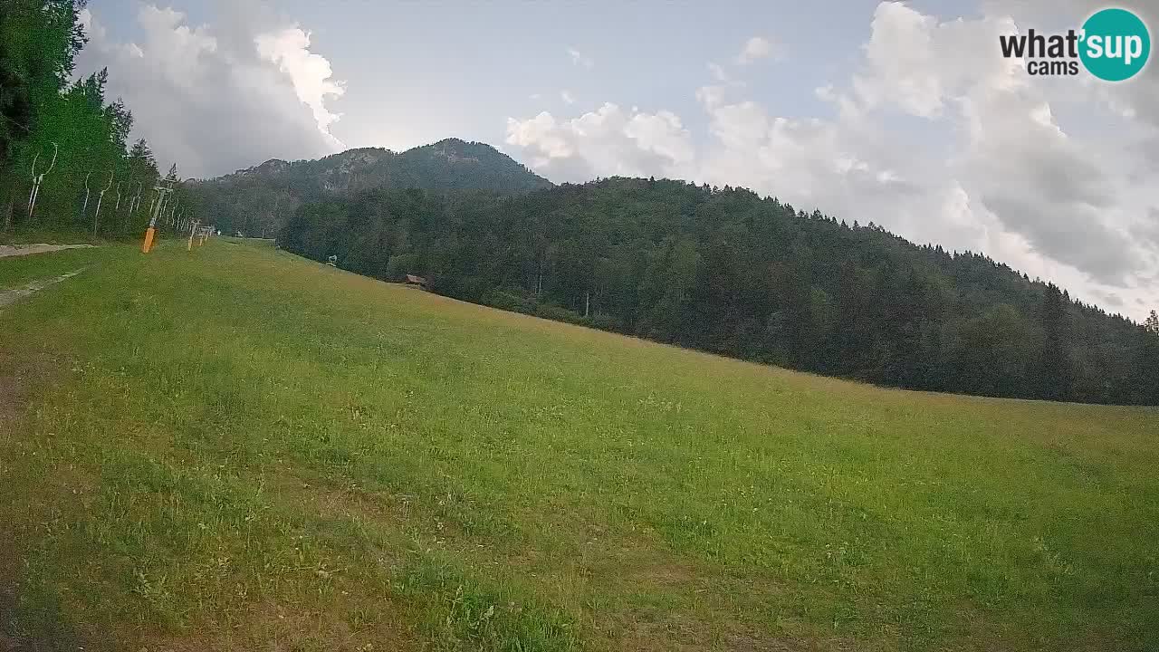 Kranjska Gora Station de ski | Brsnina