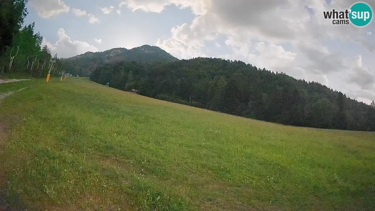RTC Kranjska Gora | Brsnina