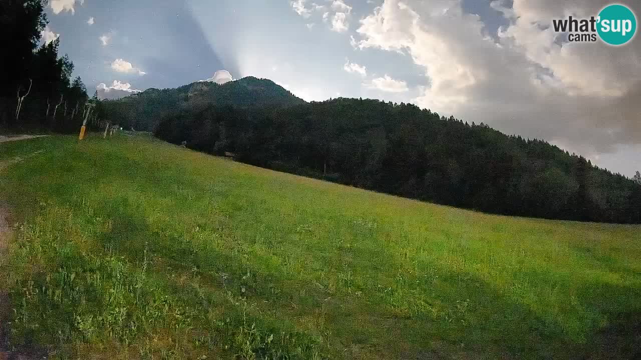 Ski Kranjska Gora | Brsnina