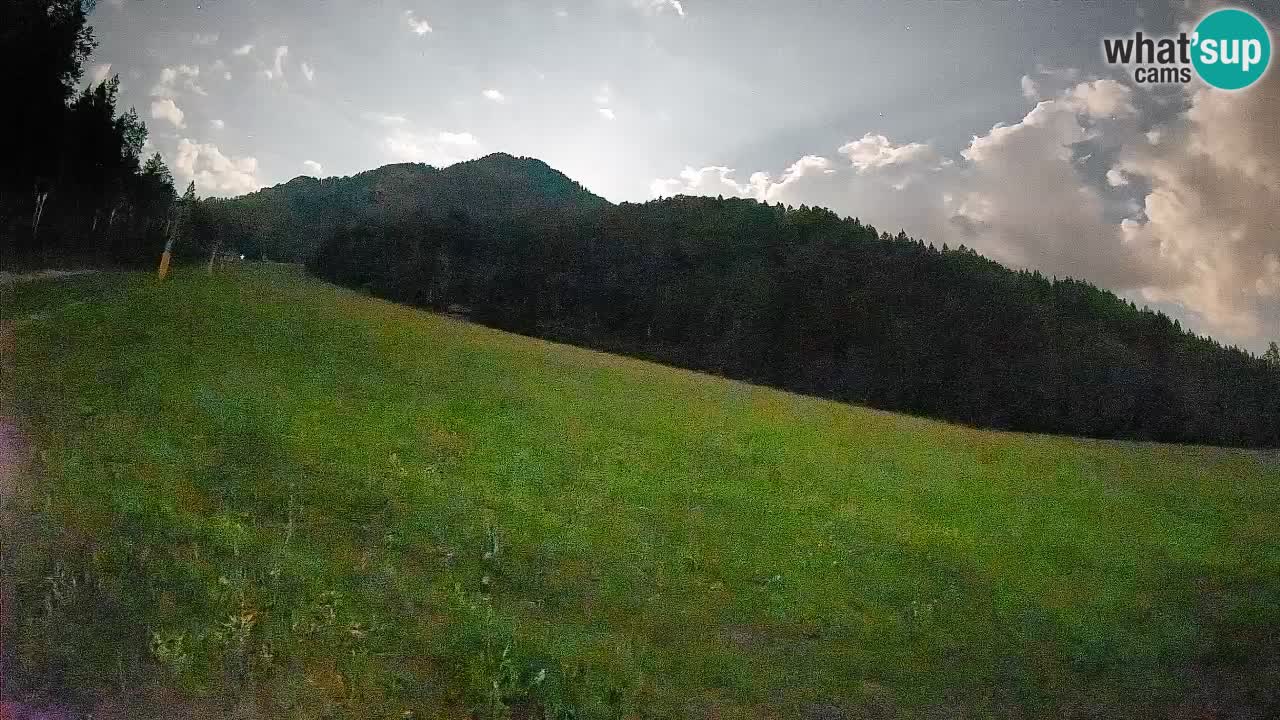 Ski Kranjska Gora | Brsnina