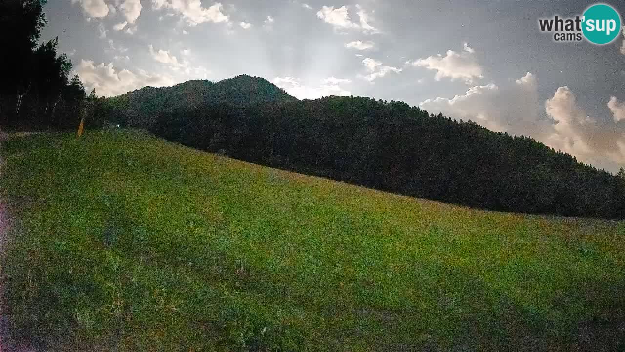 RTC Skigebiet Kranjska Gora | Brsnina
