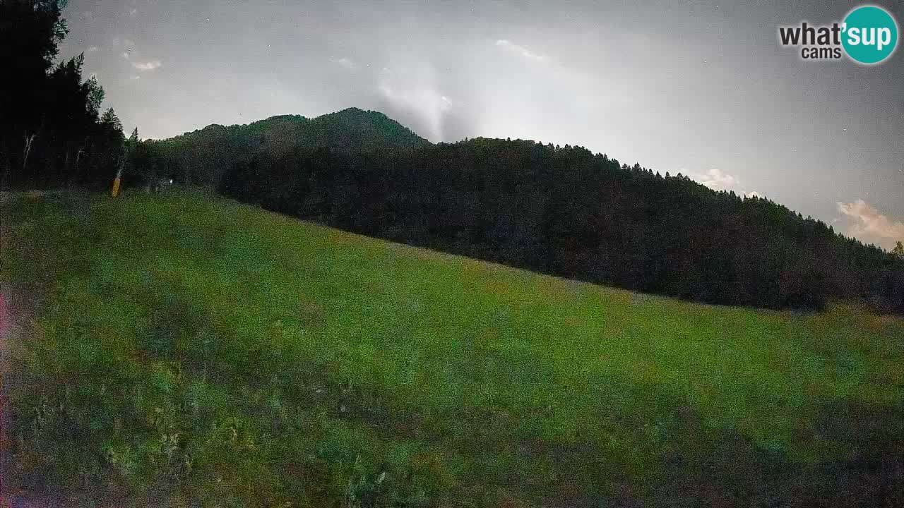 Esquí Kranjska Gora | Brsnina