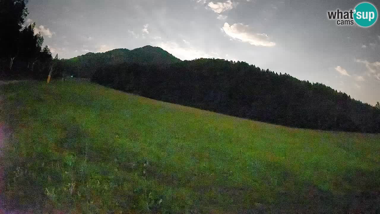Kranjska Gora SKIJANJE | Brsnina
