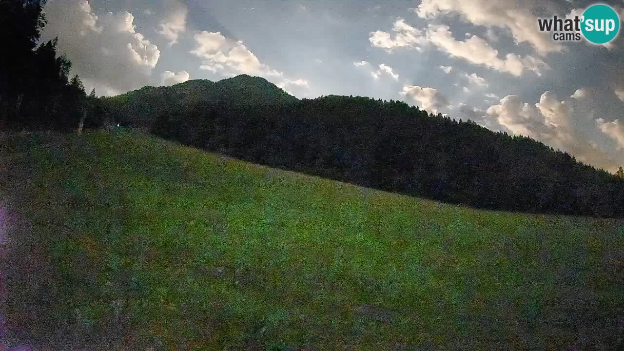 Comprensorio sciistico Kranjska Gora | Brsnina