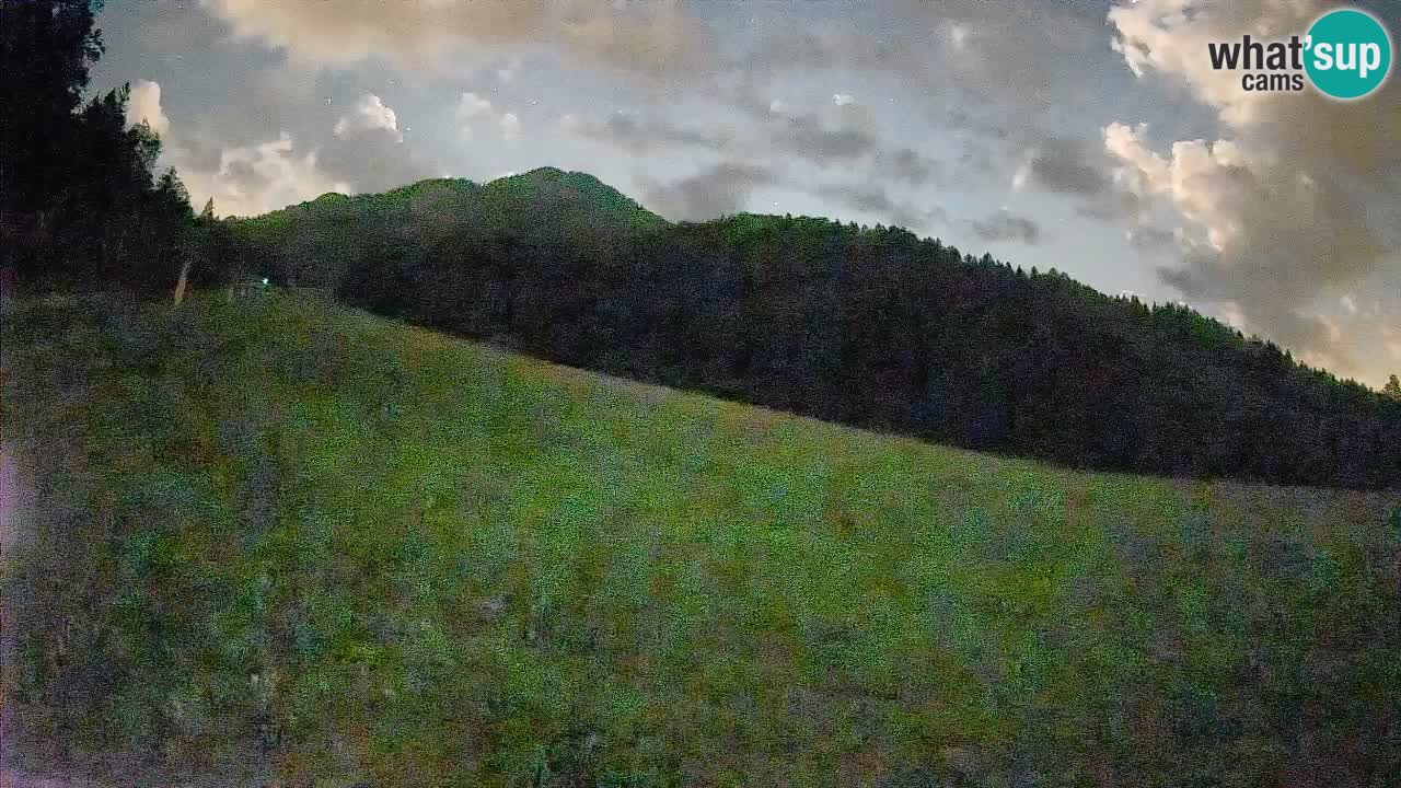Kranjska Gora Station de ski | Brsnina