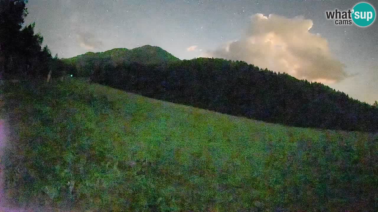 Comprensorio sciistico Kranjska Gora | Brsnina