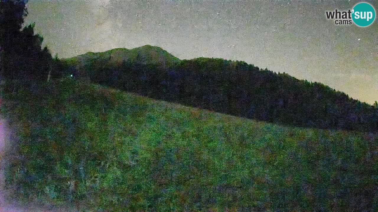 Comprensorio sciistico Kranjska Gora | Brsnina
