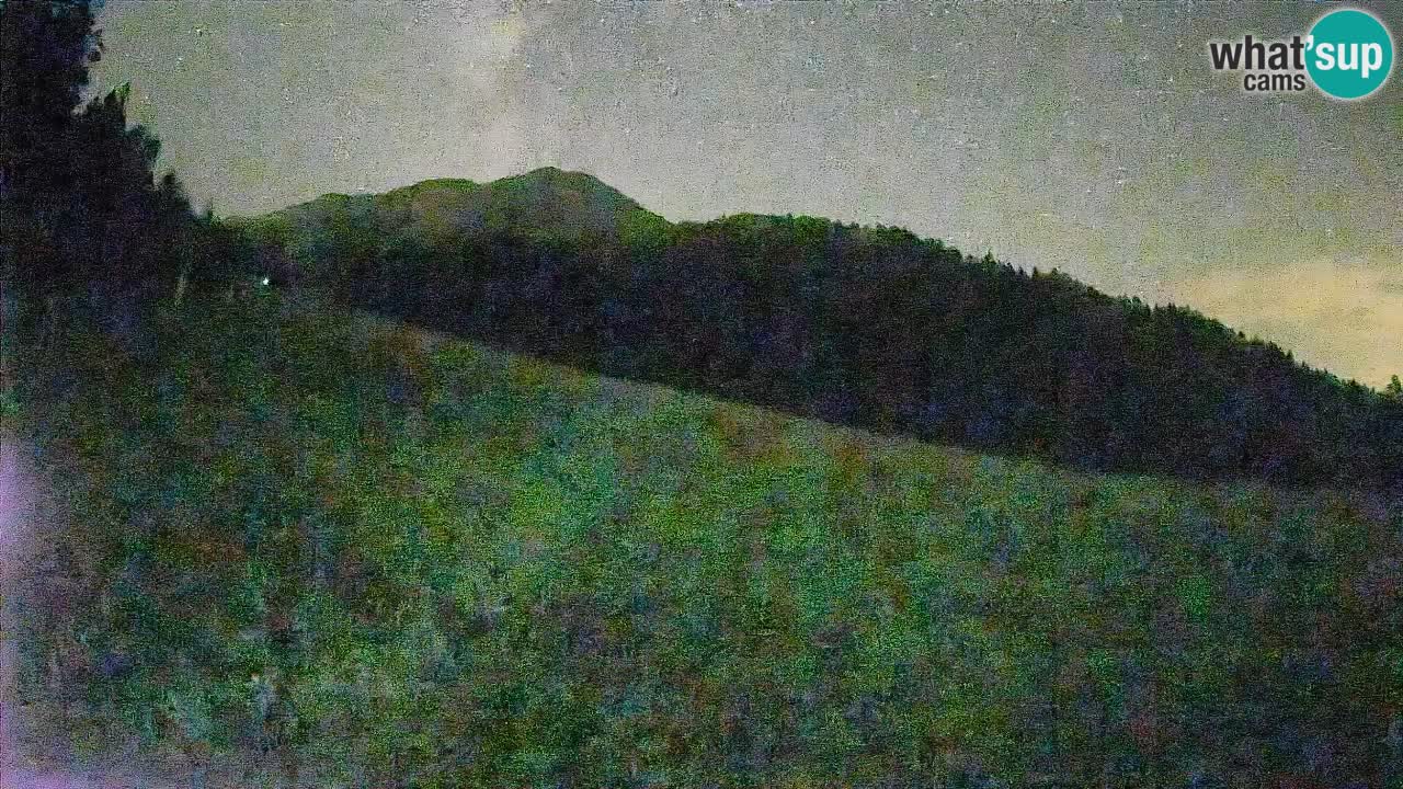 Kranjska Gora SKIJANJE | Brsnina