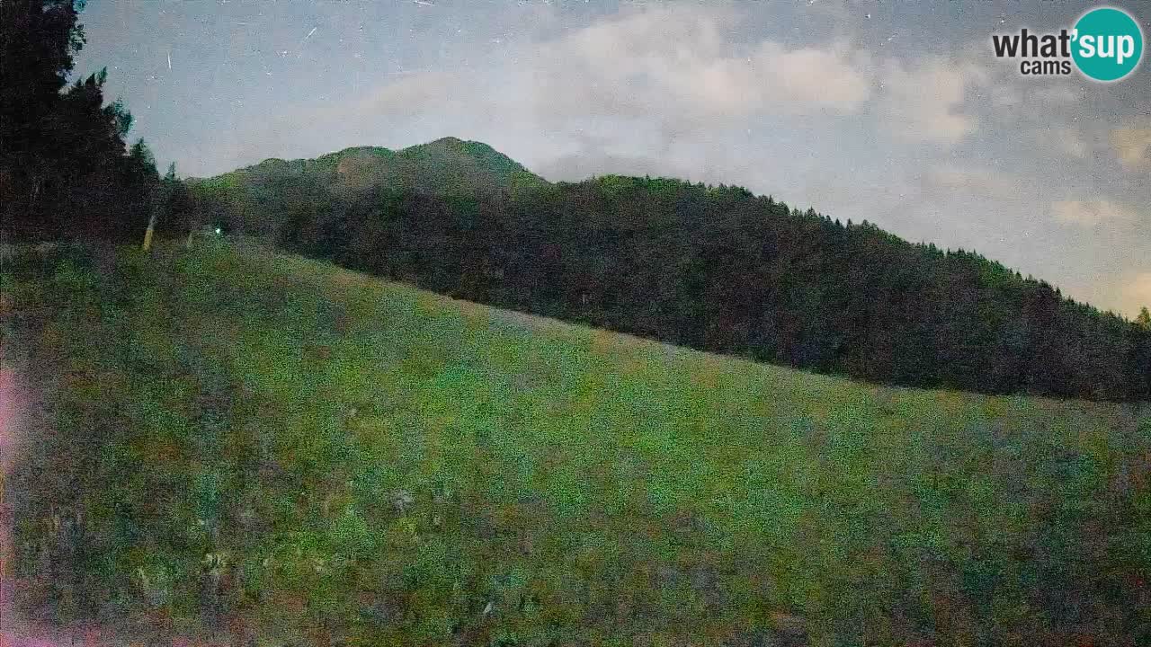 Kranjska Gora SKIJANJE | Brsnina
