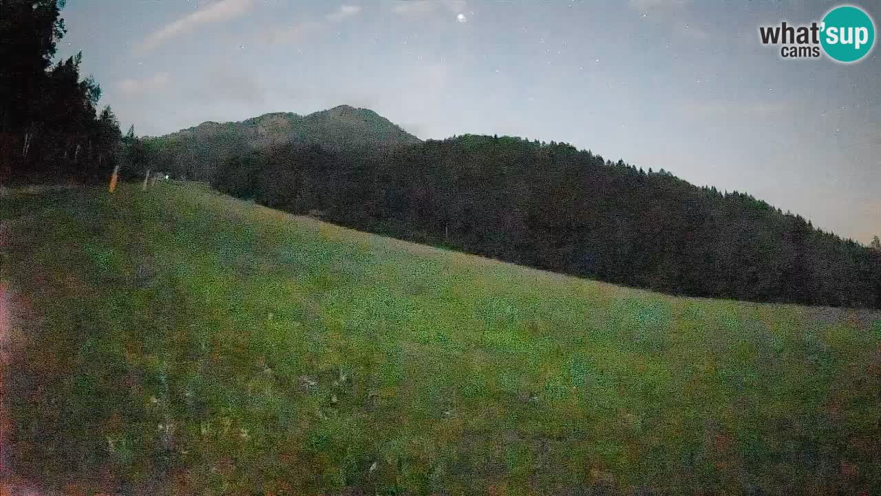 RTC Skigebiet Kranjska Gora | Brsnina