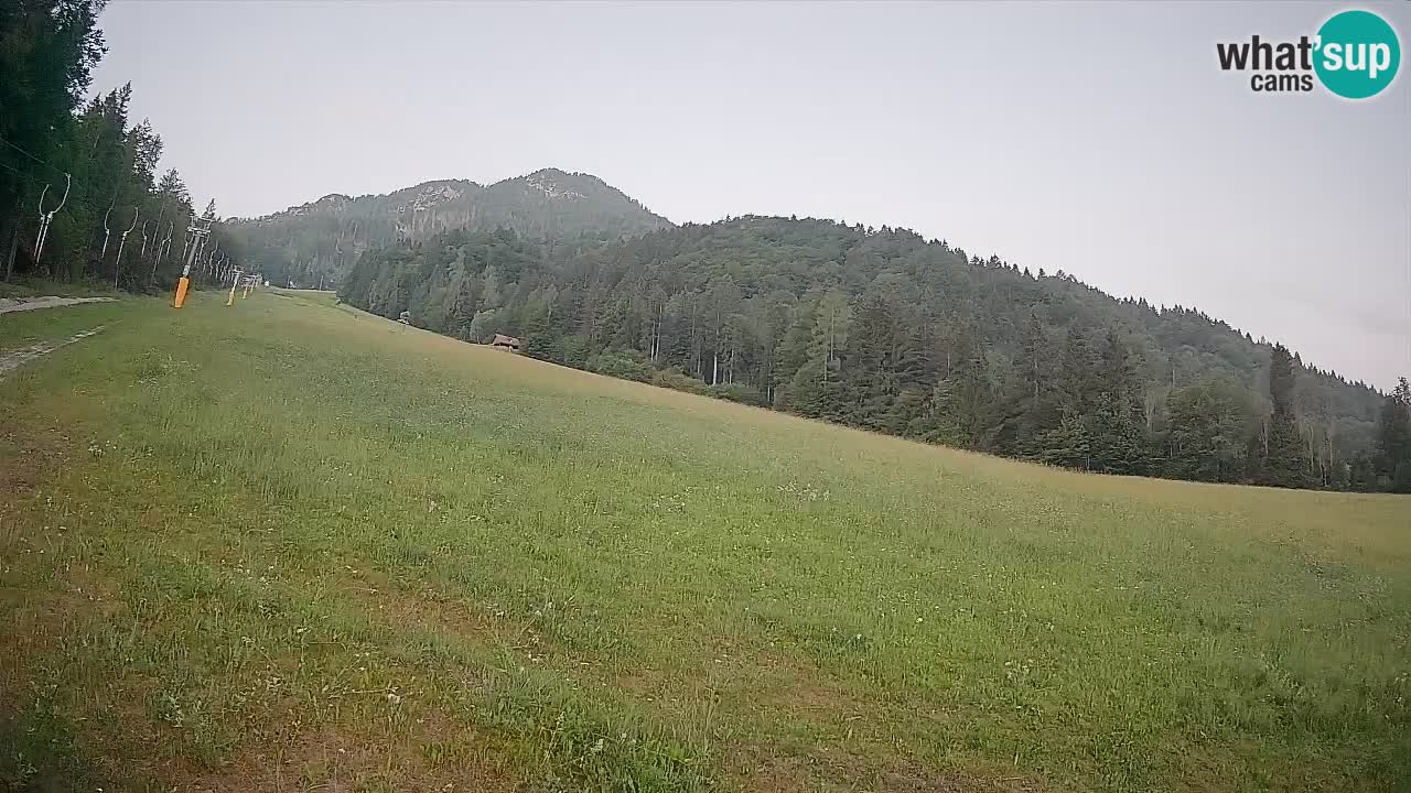 Comprensorio sciistico Kranjska Gora | Brsnina